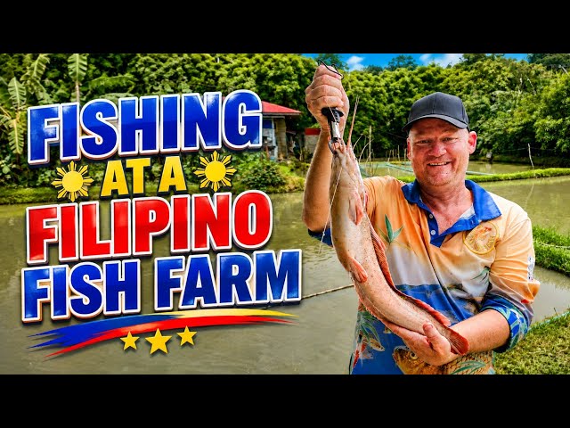 ¡Pesca en una granja acuícola filipina! 🇵🇭🎣 Bagre africano y panga