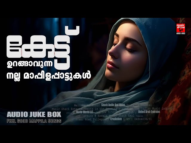 കേട്ട് ഉറങ്ങാവുന്ന നല്ല മാപ്പിളപ്പാട്ടുകൾ Mappilappattukal | Old is gold mappila song | Mappila song