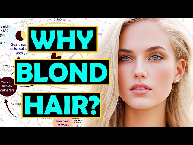 What is the Origin and Reason for Blond Hair?