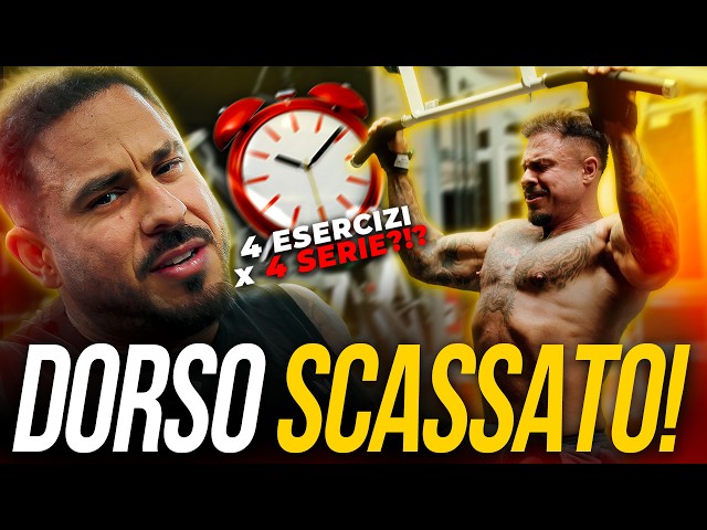 BACK WORKOUT in 10 MINUTES (4 EXERCISES)