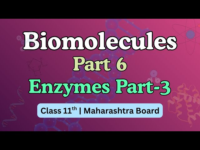 Mechanism of enzyme part 3 | E-Study Tutorials | Maharashtra Board | E-Study Tutorials | In Marathi