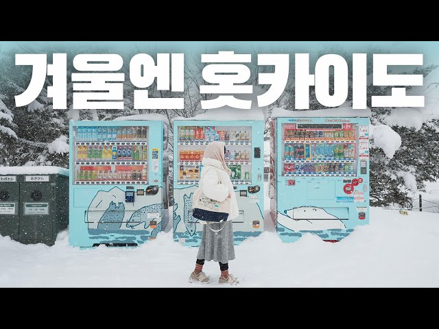 🍶 Winter Hokkaido Food and Sake Travel