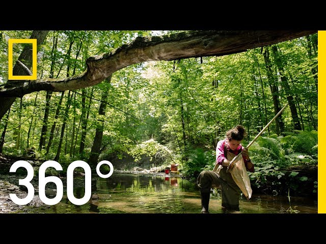 Ríos salvajes de Canadá - 360 | En el agua