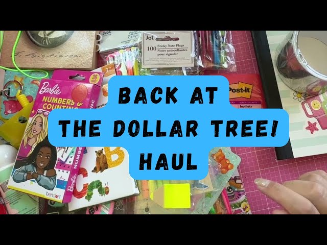 Regresamos a Dollar Tree para otro haul de artículos de papelería