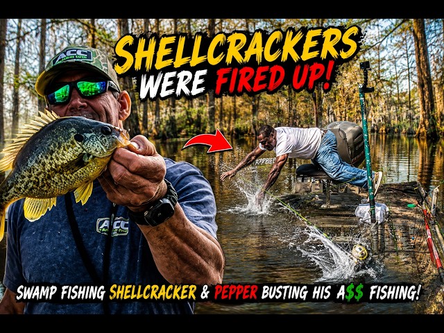 Shellcracker Fishing in the Swamp Was ON FIRE… Then Pepper LOST IT!