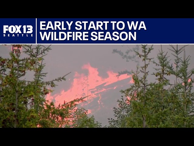 Washington's wildfire season kicks off significantly early | FOX 13 Seattle