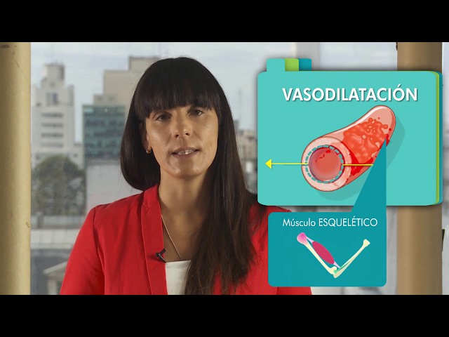 PHYSIOLOGY: Exercise Physiology. PART I