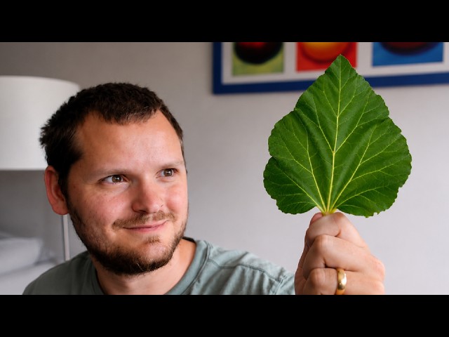 The Secret CGI of Leaves