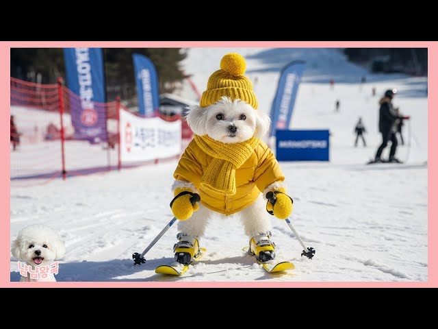 Within the same winter