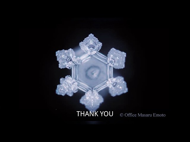 Dr. Emoto's Water Experiment