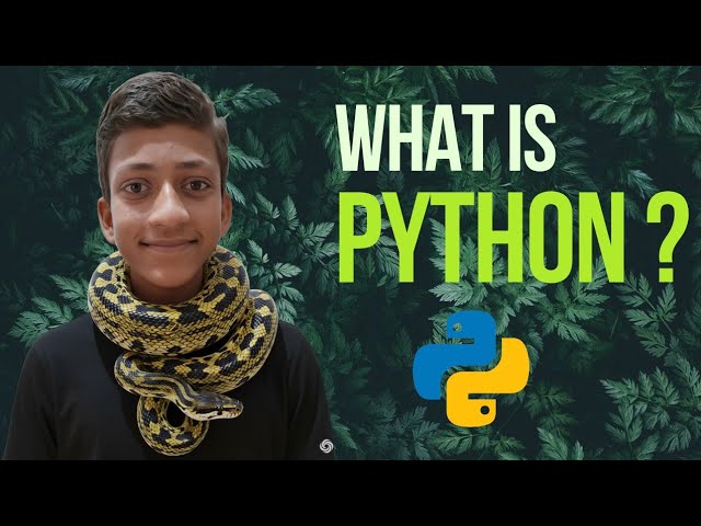 Python Tutorial for Beginners in Hindi | Zero to Python Mastery – Part 1