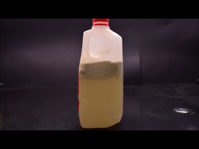 Expired Milk Under the Microscope