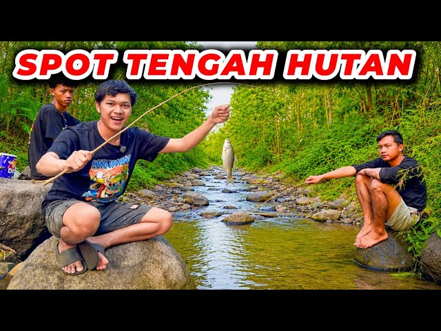 FISHING IN A JUNGLE RIVER ?? Catching LOTS OF FISH ??