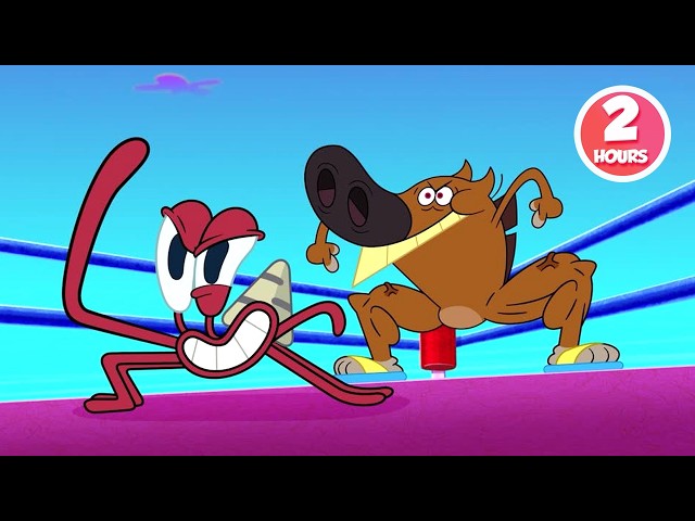 ZIG AND SHARKO | Kings of the Ring! (2 Hour Compilation) New episodes | Cartoon Collection for kids