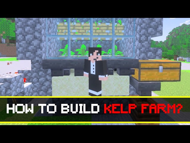 HOW TO BUILD KELP FARM?