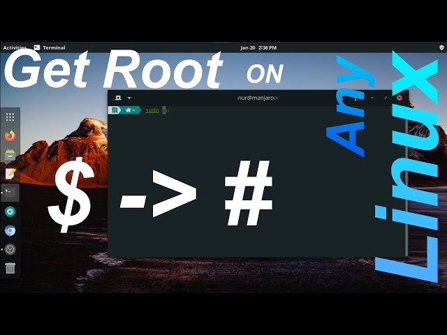 Set Terminal Root "#" as default on Any Linux 🥱😎