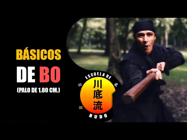 Vídeo Clase de Bo, Artes Marciales Auto Didacticas