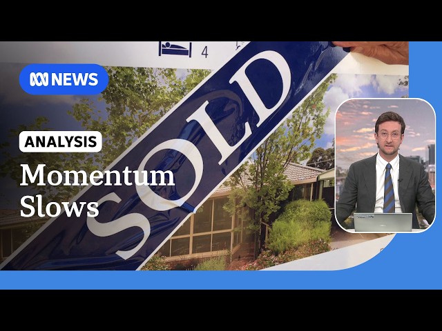Breaking down the latest house price data from Cotality | ABC NEWS