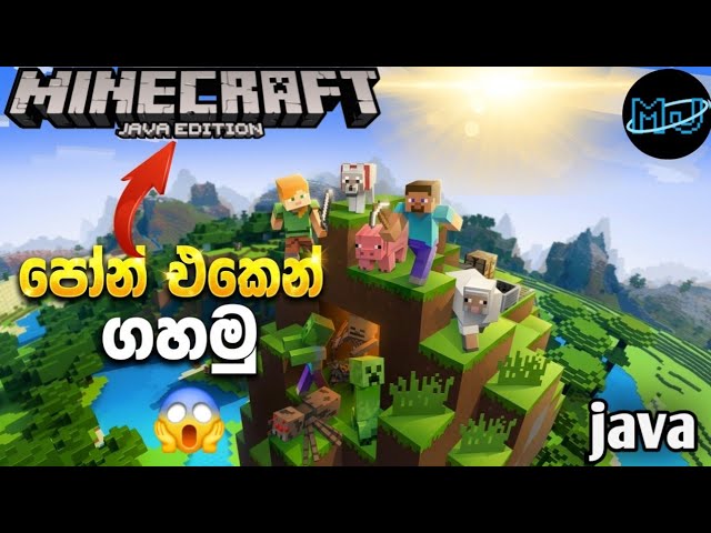 Minecraft java phone එකෙන් ගහමු 😁😱😱😃