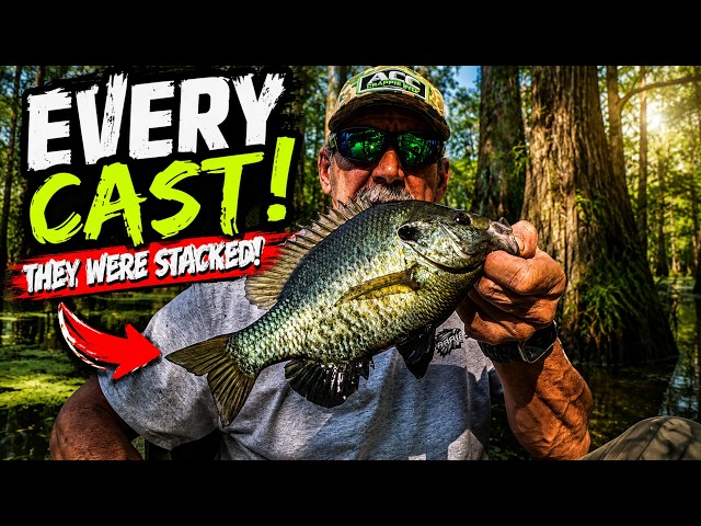 Nobody Fishes This Swamp… The Shellcracker Bite Was INSANE