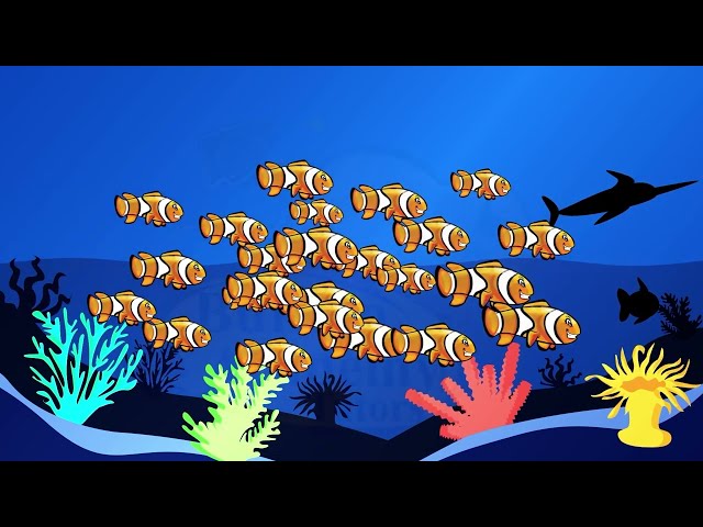 Lesson 6: Continuous Probability Explained | Distribution Function Statistics