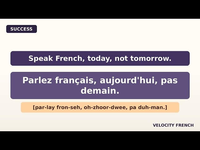 Learn French in 17 Minutes | Success Phrases Every Beginner NEEDS to Know! (Succès)