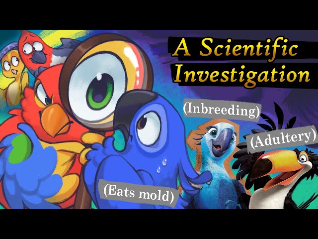 The Scientific Consequences of RIO (2011)