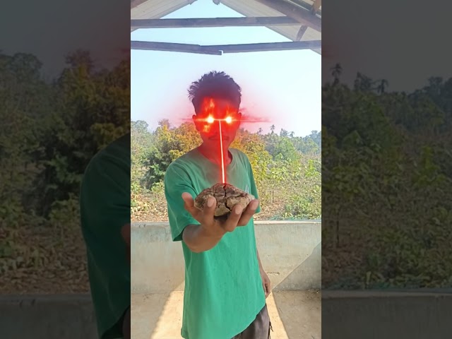 Wait For Magic 🪄👍