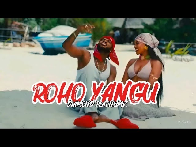 Diamond Platnumz -Roho yangu[inspired Ai audio concept]