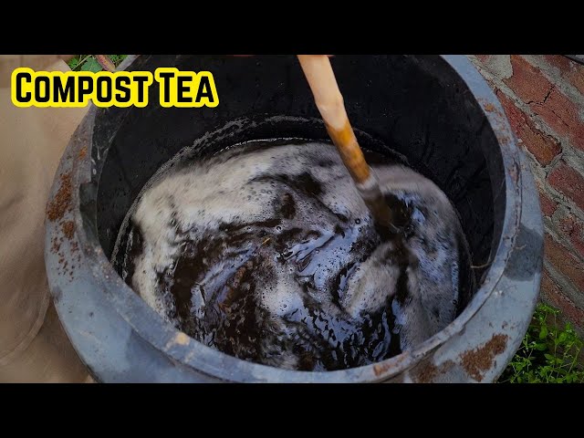 How to make Compost Tea at home? No Bubbler Needed