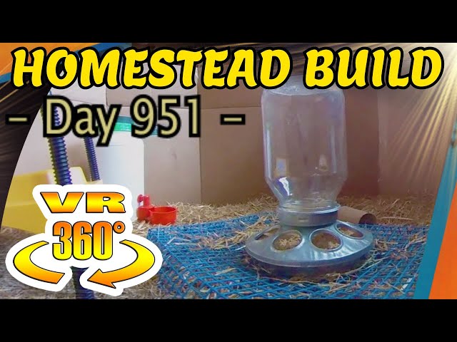 Homestead Building - Chicken Coop, Jungle Gym, Chicks