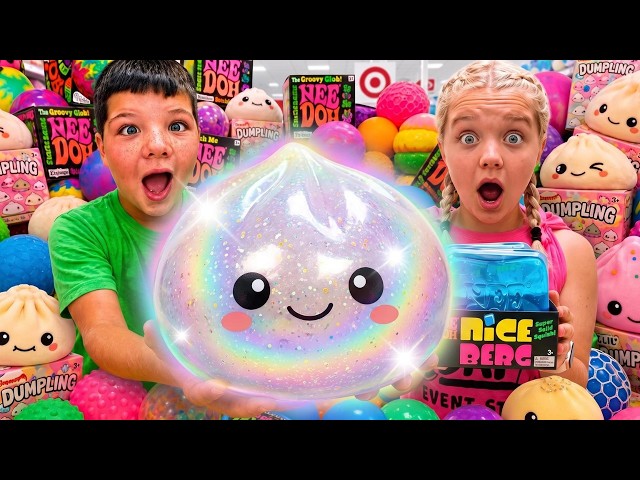 SQUISHY HUNT Challenge! Brother vs. Sister (Finding the BIGGEST Squishies!)