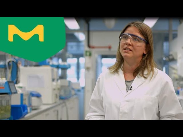 Pharma Quality Control Lab: Behind the Scenes