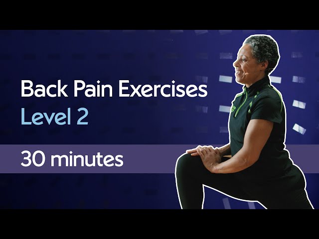 Back Workout and Stretches for Pain Relief | Beginner Level 2