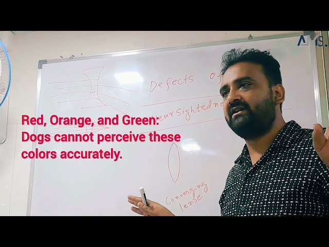 Mayopia explained | Science lecture | Ami Tutorials