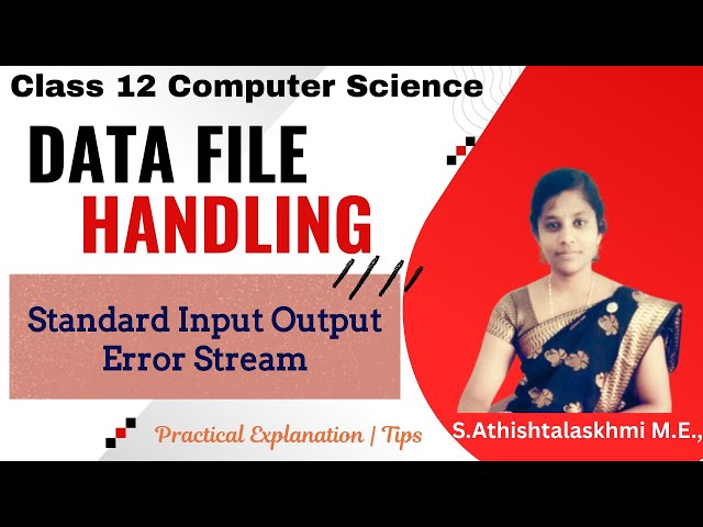 File Handling | Class 12 | Computer Science | Python | Standard Input Output Error Stream