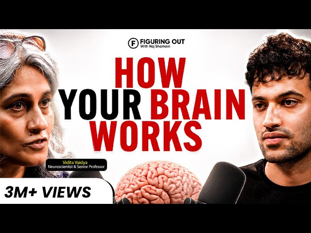 Top Brain Scientist: Billionaire Brain, Anxiety & Addictions | Vidita Vaidya | FO518 Raj Shamani