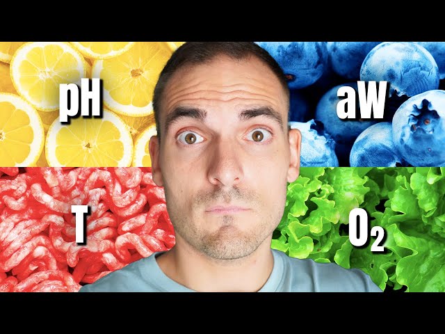 Por ESTO Crecen BACTERIAS en tu COMIDA: pH, Humedad, Actividad de AGUA, TEMPERATURA y Oxígeno