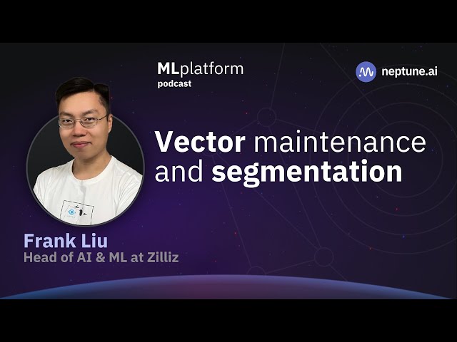Vector Databases: Segmentation and Maintenance