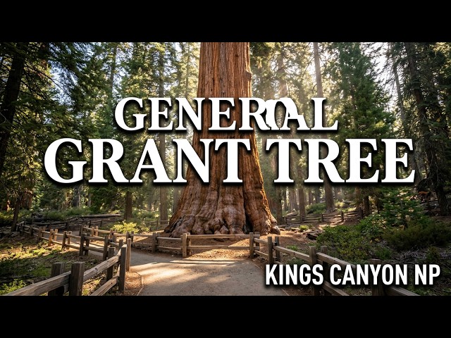 Hiking: 360° View on the General Grant Tree Trail, Kings Canyon NP – Sep 12, 2025