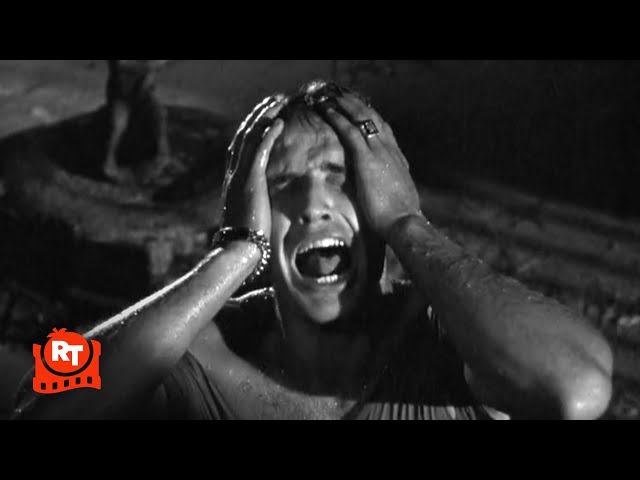 A Streetcar Named Desire (1951) - Stella! Scene | Movieclips