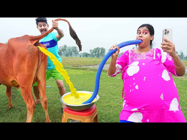 Trending Very Special Funny Comedy Video 😂 Amazing Comedy Video 2026 Episode 390 Busy Fun Ltd