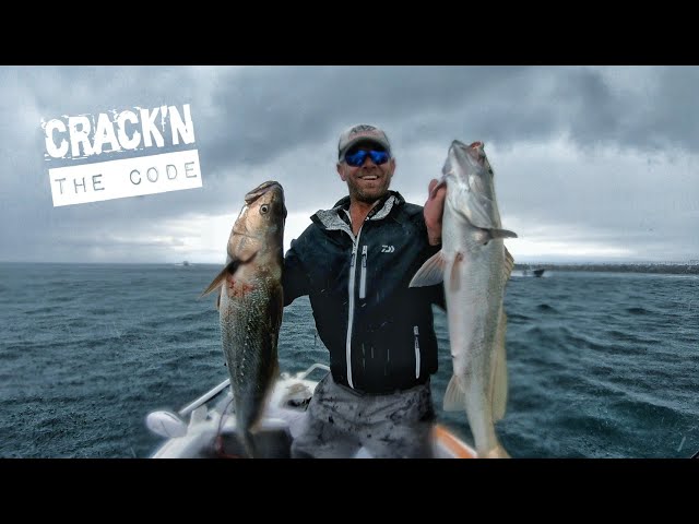 How To Catch Jewfish CONSISTENTLY