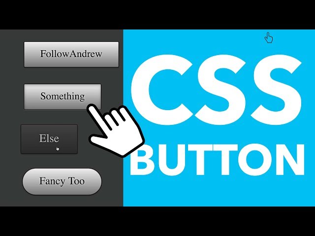 CSS Buttons & Hover Animation Tutorial |  HTML & CSS