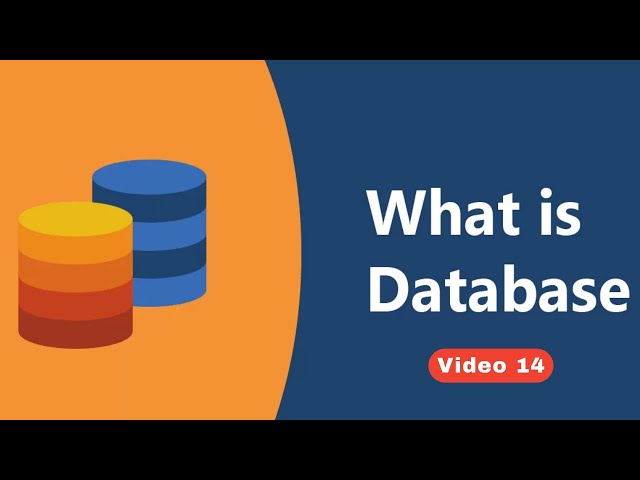 Video 14 What Is Database And How to Create Database in phpmyadmin | Free Wordpress Mastery Course