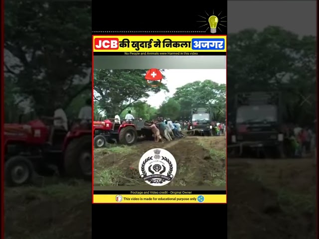 Massive Python Found During JCB Excavation | Rescue Python snake | Rescue Video | facts | #shorts...