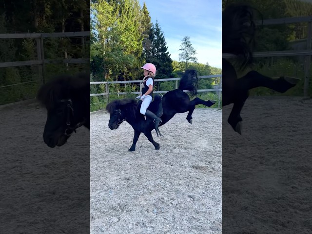 Fails❤️ Made it out alive💥 #shorts #horse #trending
