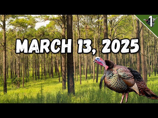 TURKEY TOUR 2025!!! (Southern Turkey Hunting!)
