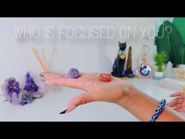 WHO IS FOCUSED ON / STALKING YOU? - PICK A CARD Reading