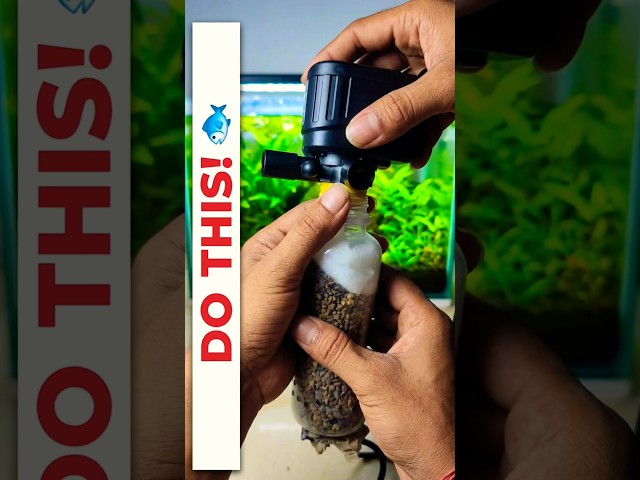 🐠🔥 DIY Internal Power Filter Making Using a Plastic Bottle#shorts #filter#ytshorts #youtubeshorts
